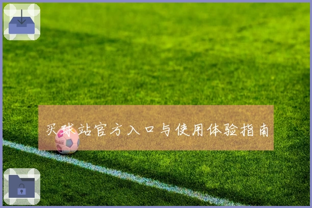 买球站官方入口与使用体验指南