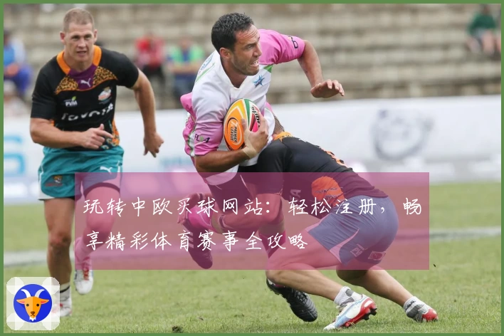 玩转中欧买球网站：轻松注册，畅享精彩体育赛事全攻略