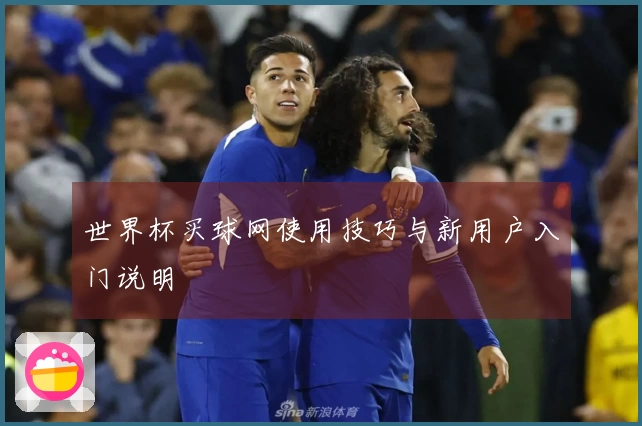 世界杯买球网使用技巧与新用户入门说明