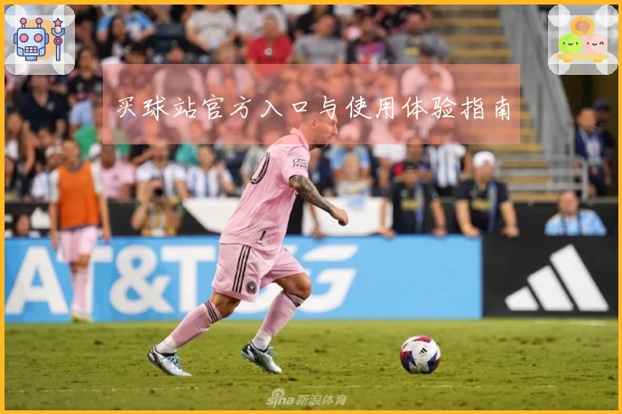 买球站官方入口与使用体验指南